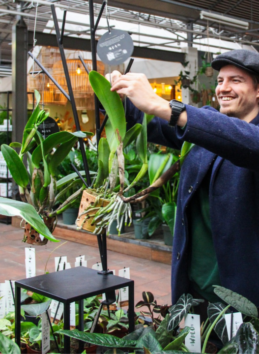 De mooiste kamerplanten van Den Haag vind je bij tuincentrum Ockenburgh!