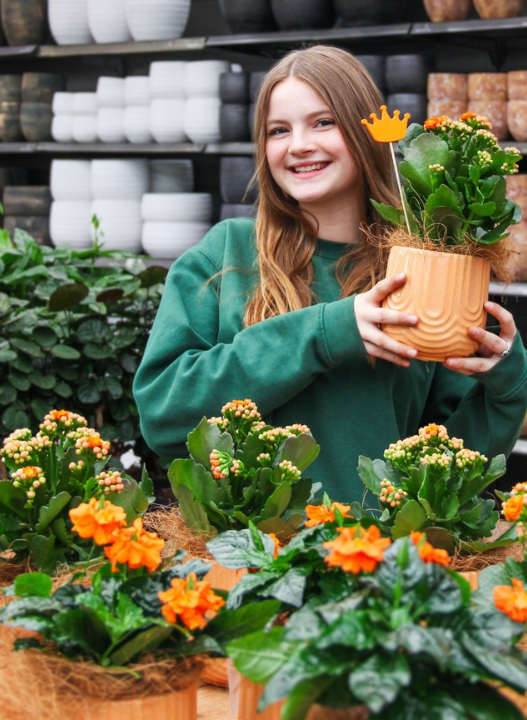 De mooiste bloempotten vind je bij tuincentrum Ockenburgh in Den Haag!