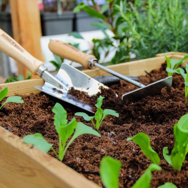 Alles voor jouw moestuin vind je bij tuincentrum Ockenburgh in Den Haag!