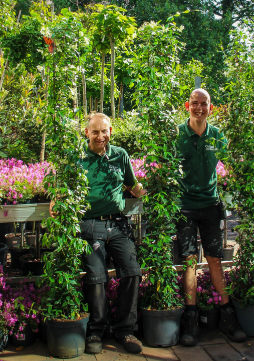 De mooiste klimplanten vind je bij tuincentrum Ockenburgh in Den Haag!