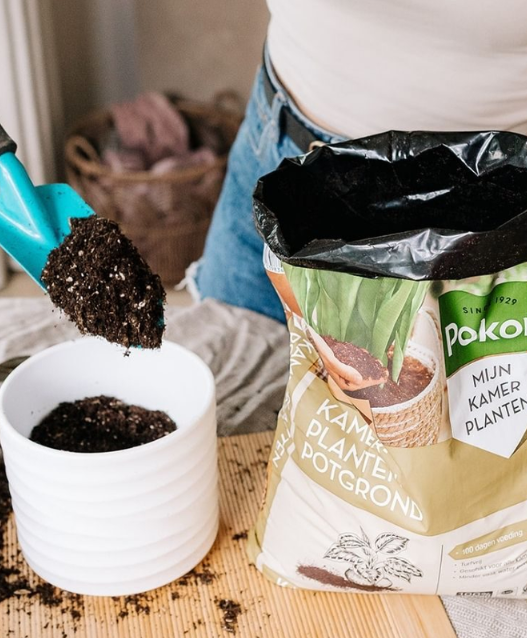 Shop Pokon kamerplanten potgrond online!