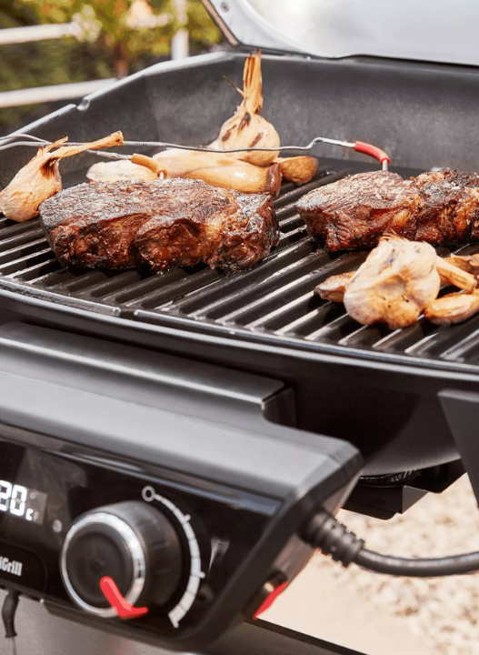 Jouw Weber BBQ vind je bij tuincentrum Ockenburgh in Den Haag!