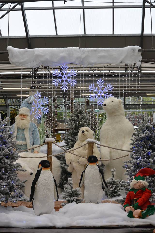 Kerst viert u bij Tuincentrum Ockenburgh in Den Haag