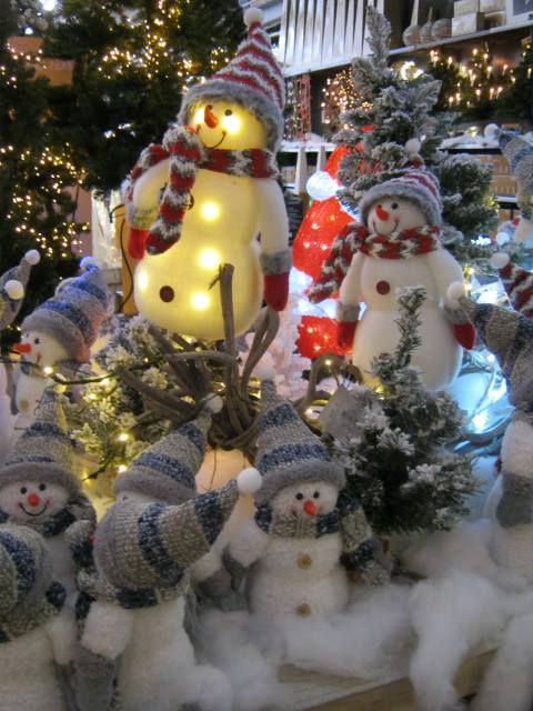 Booth Medicinaal Volgen Op zoek naar kunstkerstbomen in Den Haag?