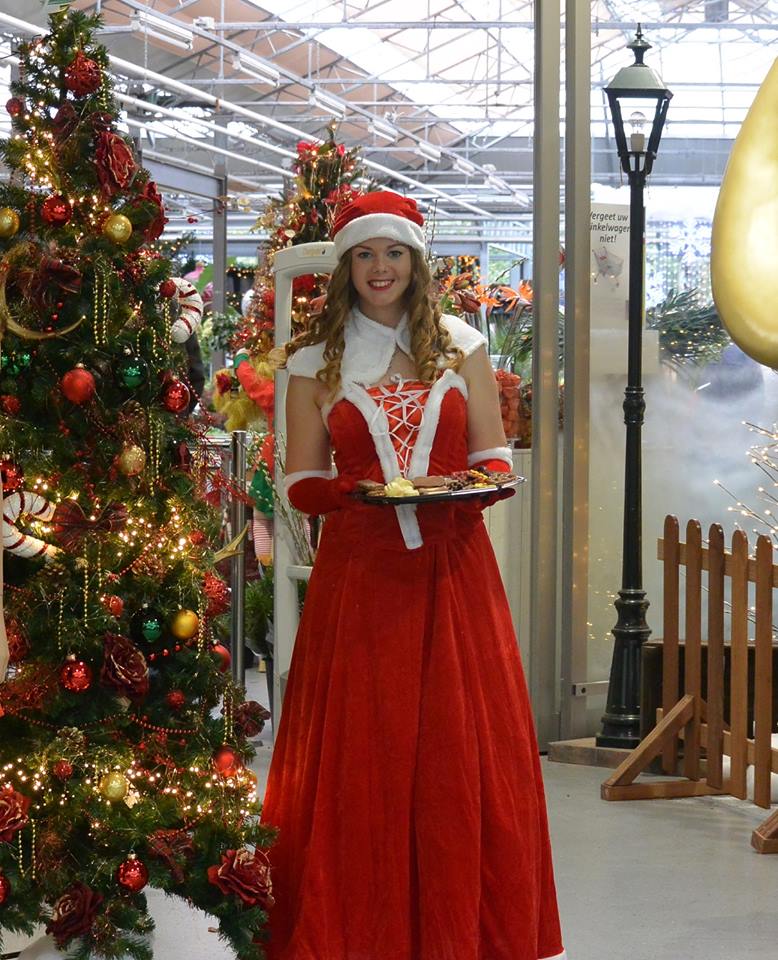 Welkom op onze kerstshow in Den Haag! Welkom op onze kerstshow in Den Haag!