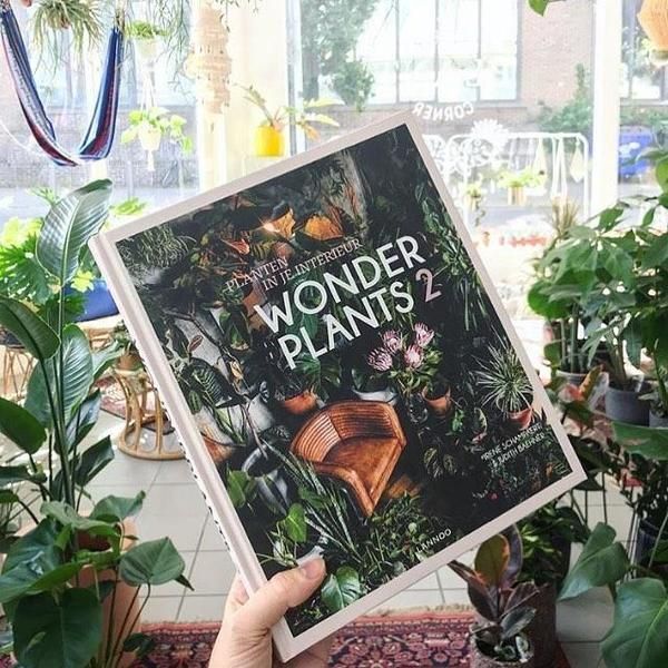 De 5 leukste boeken over planten die je NU wilt hebben