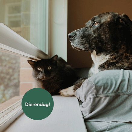 Dierendag!