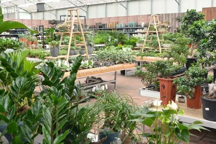 Aankomende activiteiten