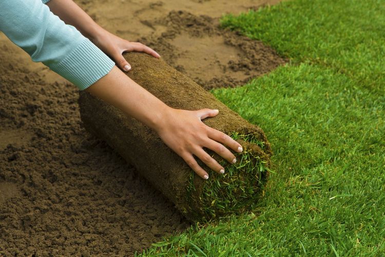 Zelf graszoden aanleggen in 6 stappen! Zelf graszoden aanleggen in 6 stappen!