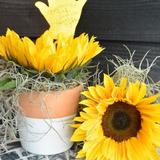 Inloopworkshop Bedankt!