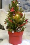 Kinderworkshop Kerstboom versieren (=VOL)