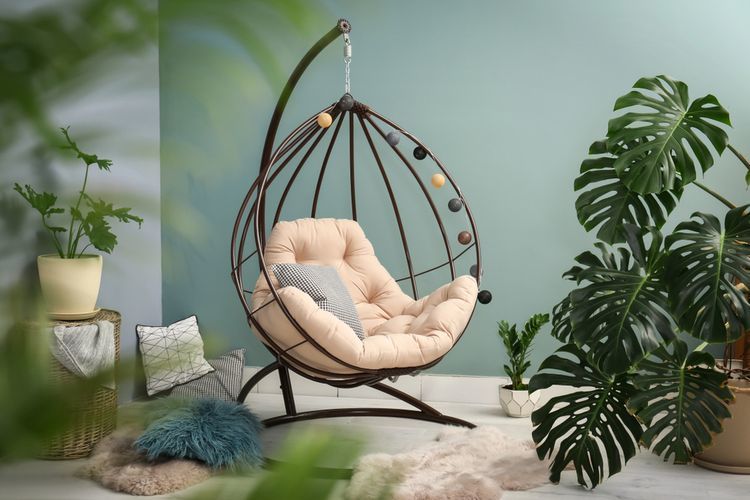 Top 10 makkelijke kamerplanten, ook zonder groene vingers! Top 10 makkelijke kamerplanten, ook zonder groene vingers!