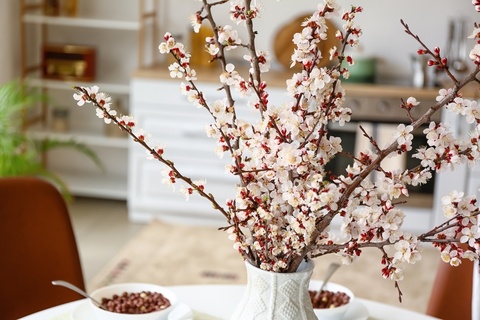 Lentekriebels met bloesemtakken