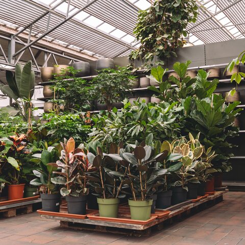 Ontdek de kracht van Permacultuur