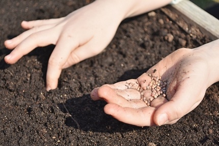 Tuin voorjaarsklaar? Zaaien maar!