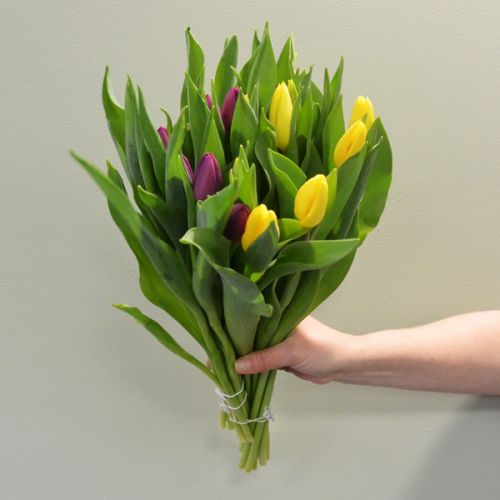 2 bosjes Tulpen geel of paars