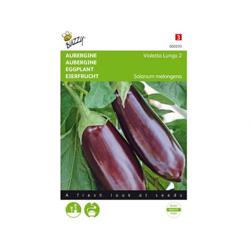 Aubergine Violetta Lunga 2 - afbeelding 1