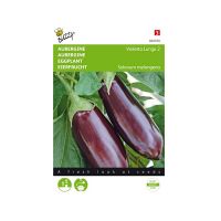 Aubergine Violetta Lunga 2 - afbeelding 1