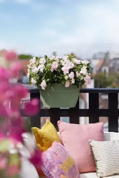 Balkonbak vibia camp flower bridge 40cm Pistachegroen - afbeelding 4