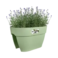 Balkonbak vibia camp flower bridge 40cm Pistachegroen - afbeelding 2
