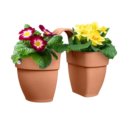 Balkonbak vibia campana flower twin  21cm terra - afbeelding 5