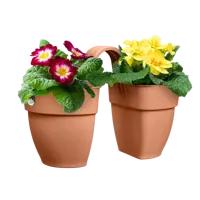 Balkonbak vibia campana flower twin  21cm terra - afbeelding 5