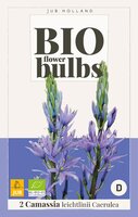 Bio camassia leichtl. caerulea 2st