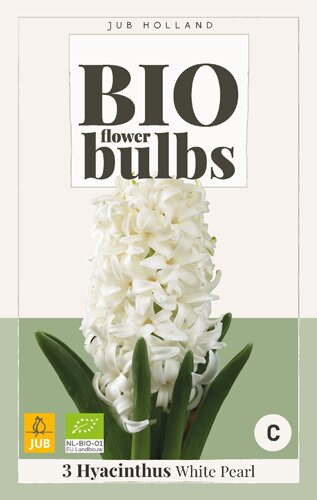 Bio hyacinthus white pearl 3st