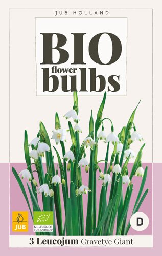 Bio leucojum gravetye giant 3st