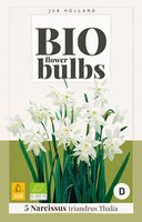 Bio narcissus triandrus thalia 5st