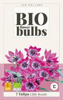 Bio tulipa little beauty 7st