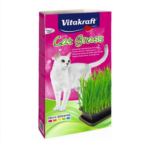 Cat-gras 120g