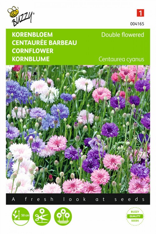 Centaurea cyanus dubbelbloem g 1.5g - afbeelding 1