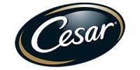 Cesar