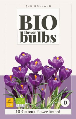 Crocus flower record - bio