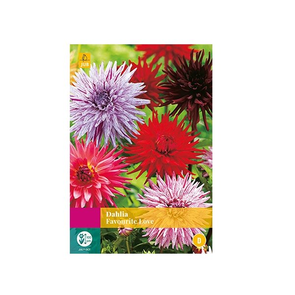 Dahlia's Favourite Love