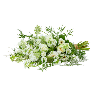 Elegant - Middel