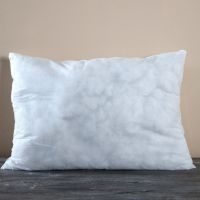Feather Inner Pillow 65x45