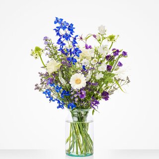 Feestelijk blauw - Middel (M)