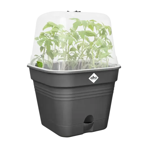 Greenbasic kweekpot vierkant allin1 15cm - afbeelding 4