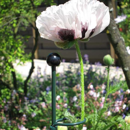 Grondpin standaard 75 cm - afbeelding 2