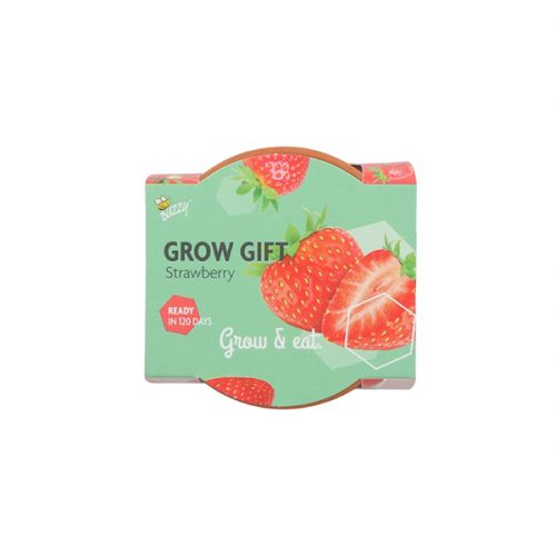 Grow Gift aardbei - afbeelding 2