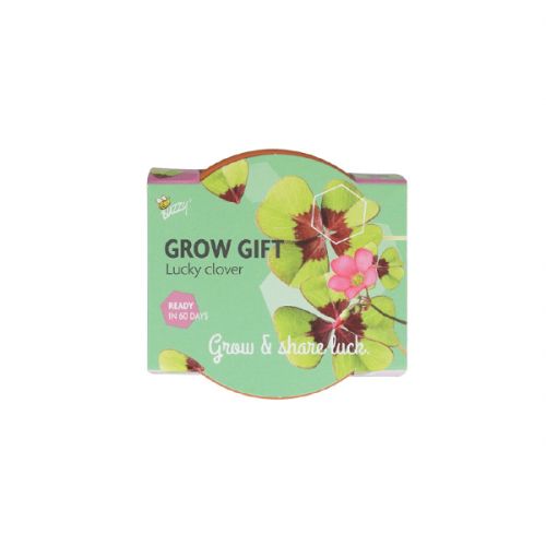 Grow Gift geluksklavertje - afbeelding 2