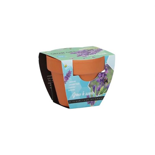 Grow Gift lavendel - afbeelding 1