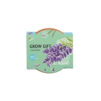 Grow Gift lavendel - afbeelding 2