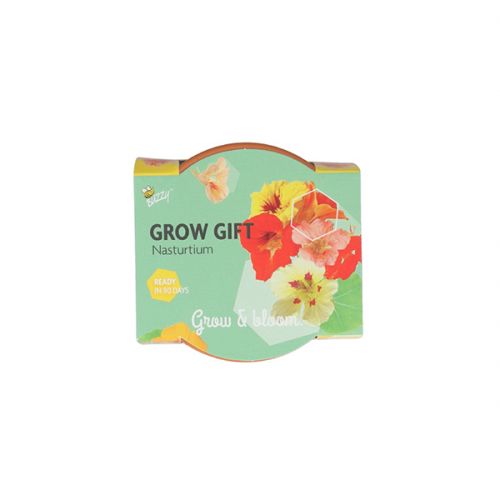 Grow Gift Oost-Indische kers - afbeelding 2