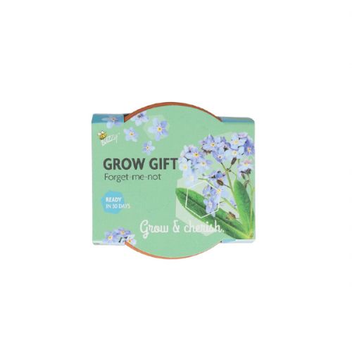 Grow Gift vergeet-me-nietjes - afbeelding 2