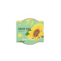 Grow Gift zonnebloem - afbeelding 2