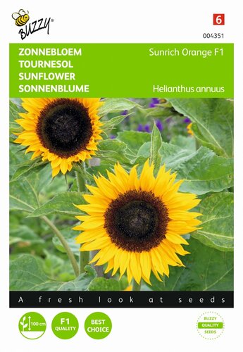 Helianthus sunrich orange f1 15zd - afbeelding 1