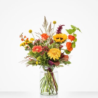 Herfsttint - Middel (M)